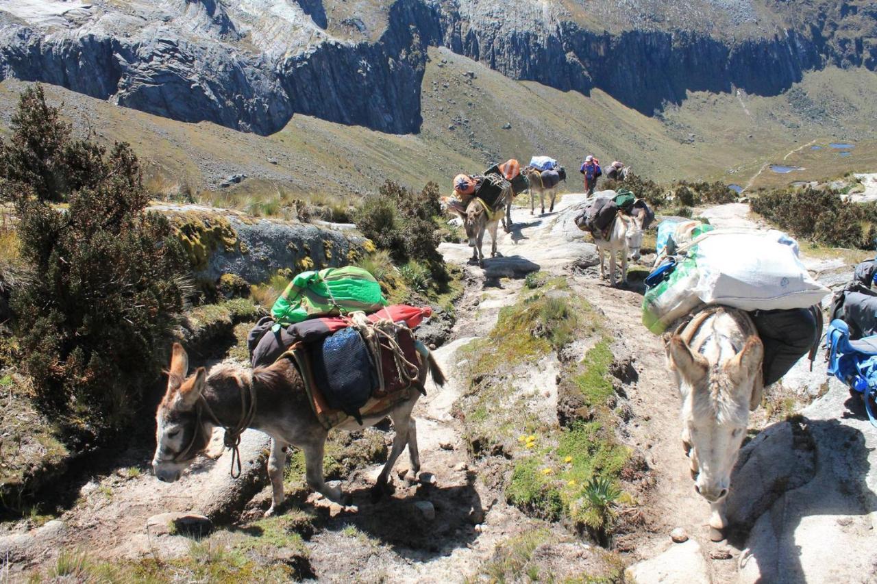 Vacahouse Hostels B&B Huaraz  Exterior photo